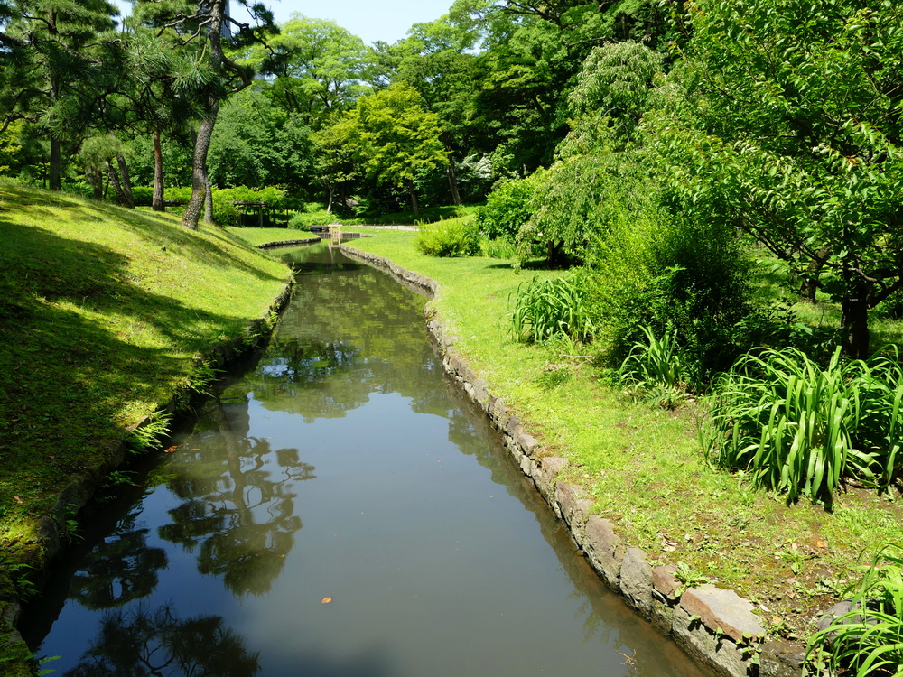 A stream through manicured lawn and beautifully trimmed trees and bushes