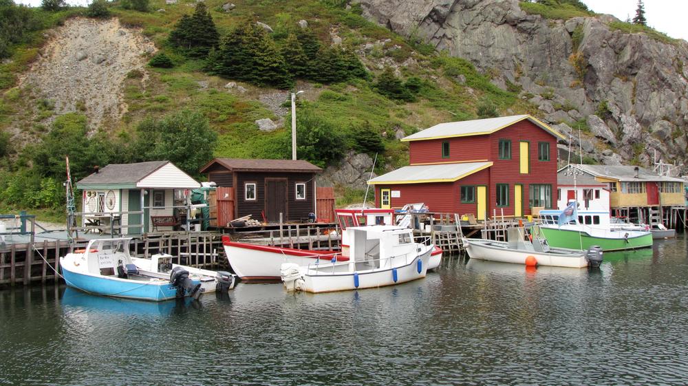 fishing houses anchored to the rock of Quidi Vidi harbour