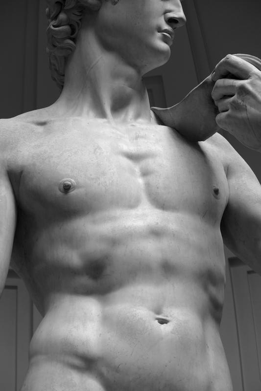Michelangelo's David's torso.