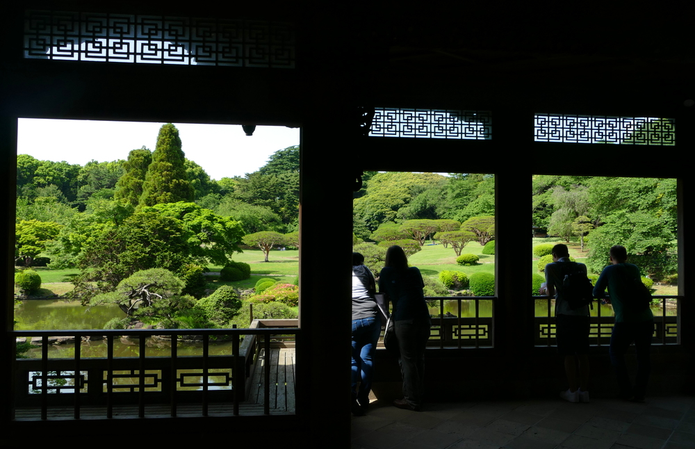 Looking out at Shinjuku-gyoen through the windows of a classical Japanese building