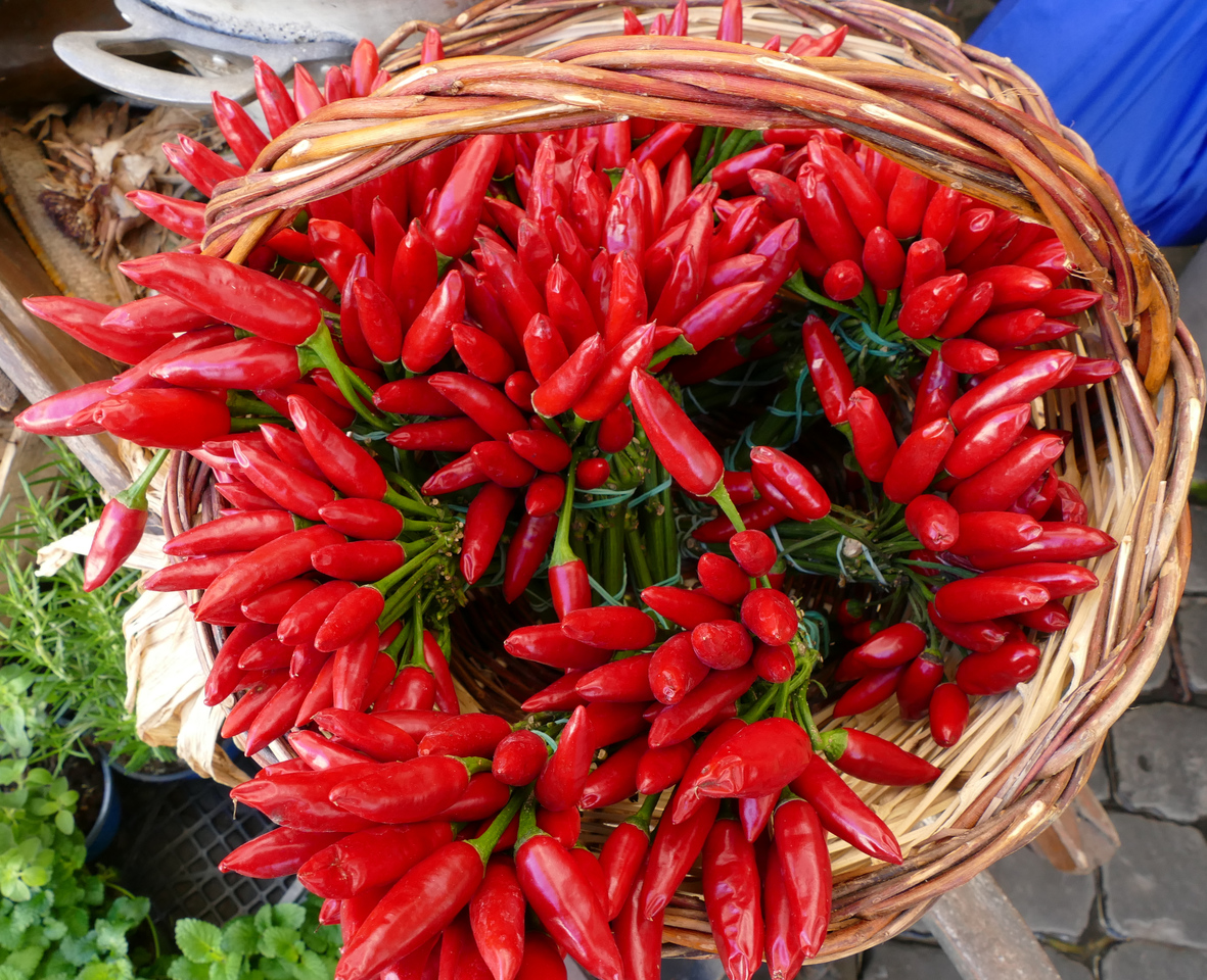A basket full of small and pointy vivid red peppers