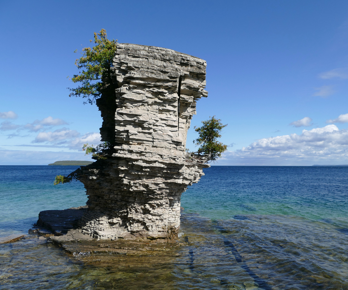 A column of rock standing in the water, with a small tree precariously attached to its side.