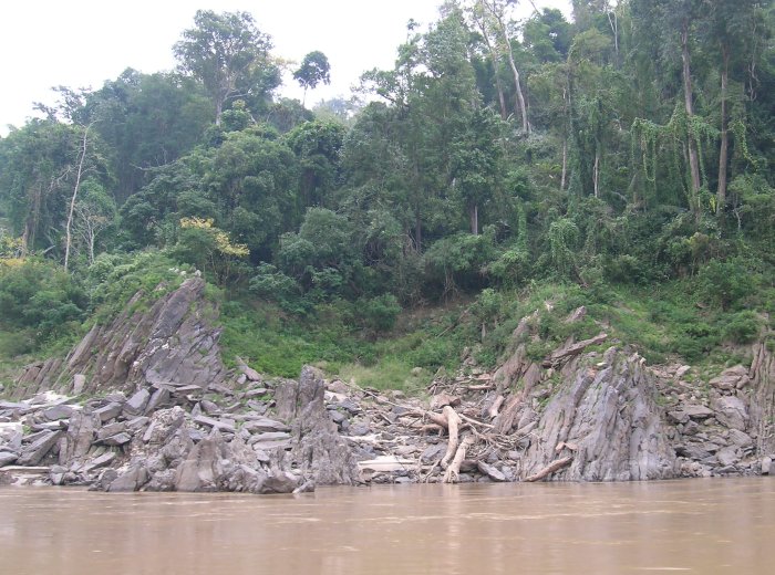 Jagged rocks and heavy forest along the edge of the muddy Mekong River.