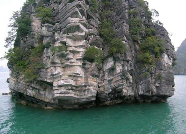 Close to the base of a karst in Halong Bay.