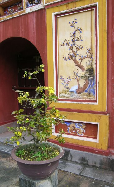 Bonsai and a tile image of a bonsai, Imperial Enclosure, Hué, Vietnam