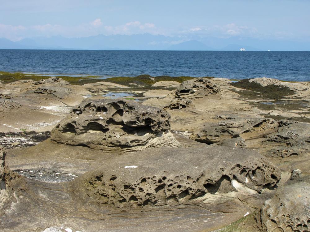 The very pitted stone beach at Newcastle Island off Nanaimo, with the sea in the background.
