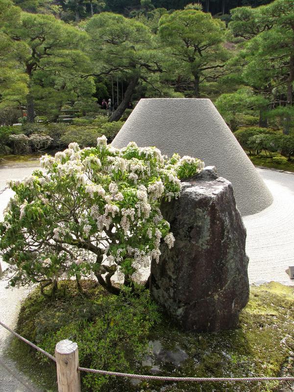 sand garden with a huge sculpted truncated cone partly obscured by a blooming plant and a rock