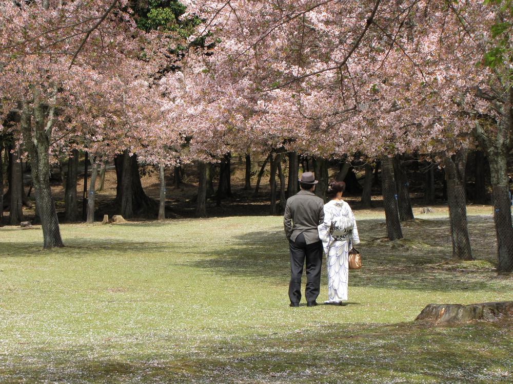 A man in a business suit and hat and a woman in a kimono stand arm-in-arm under cherry blossoms